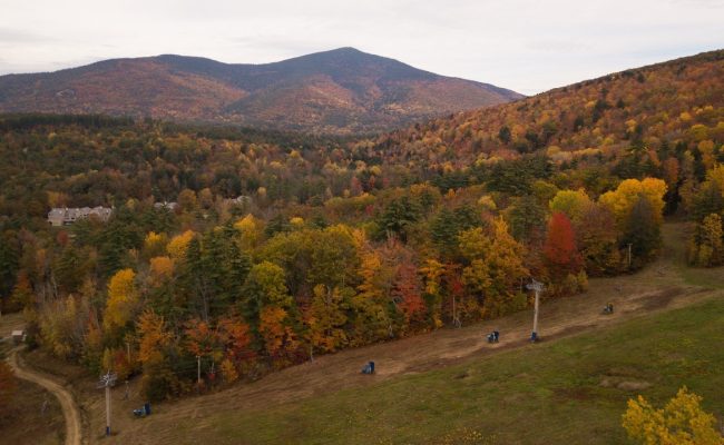 Foliage on Cranmore looking North