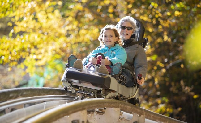 Parent and child on mountain coaster