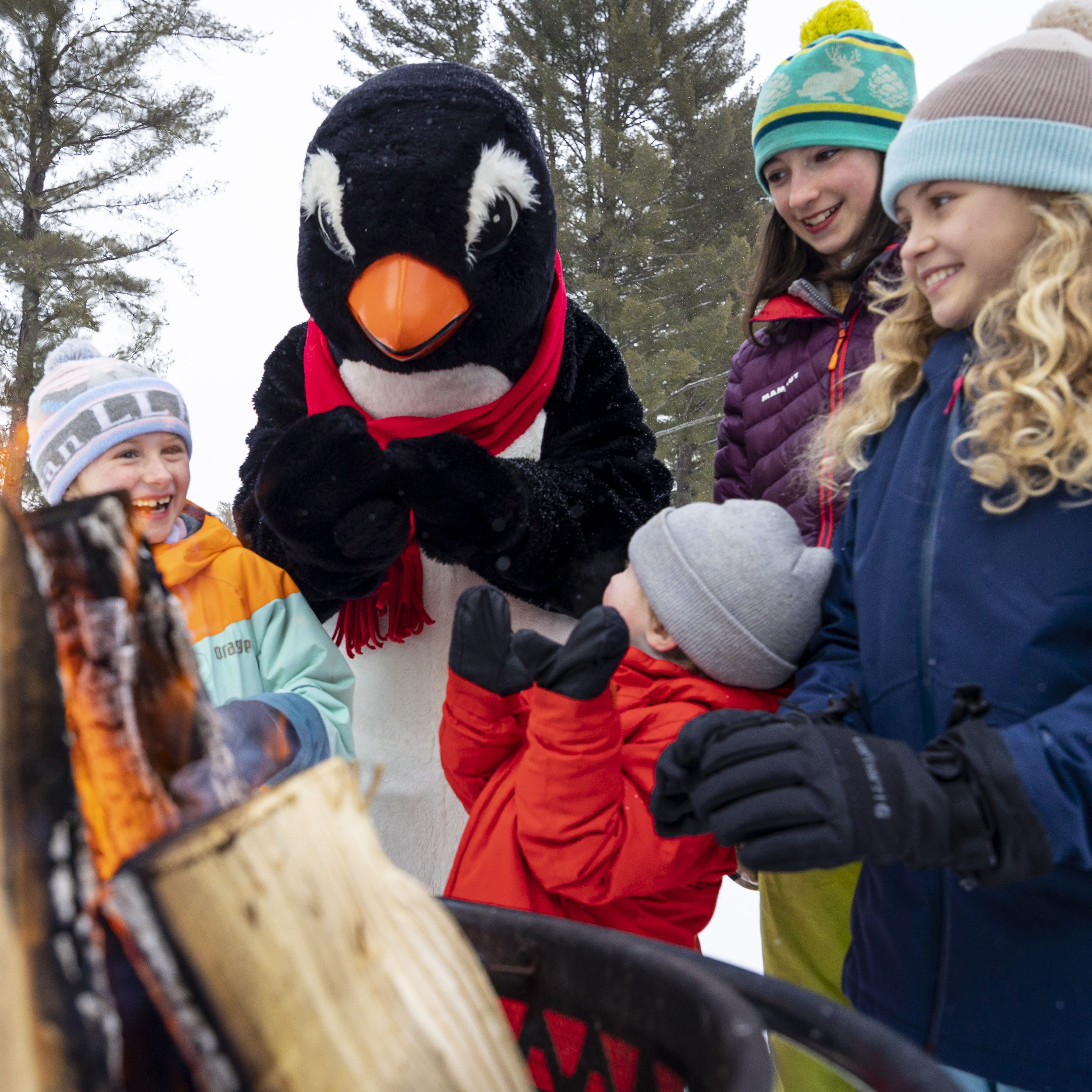 C More Penguin Cranapalooza Fire Square