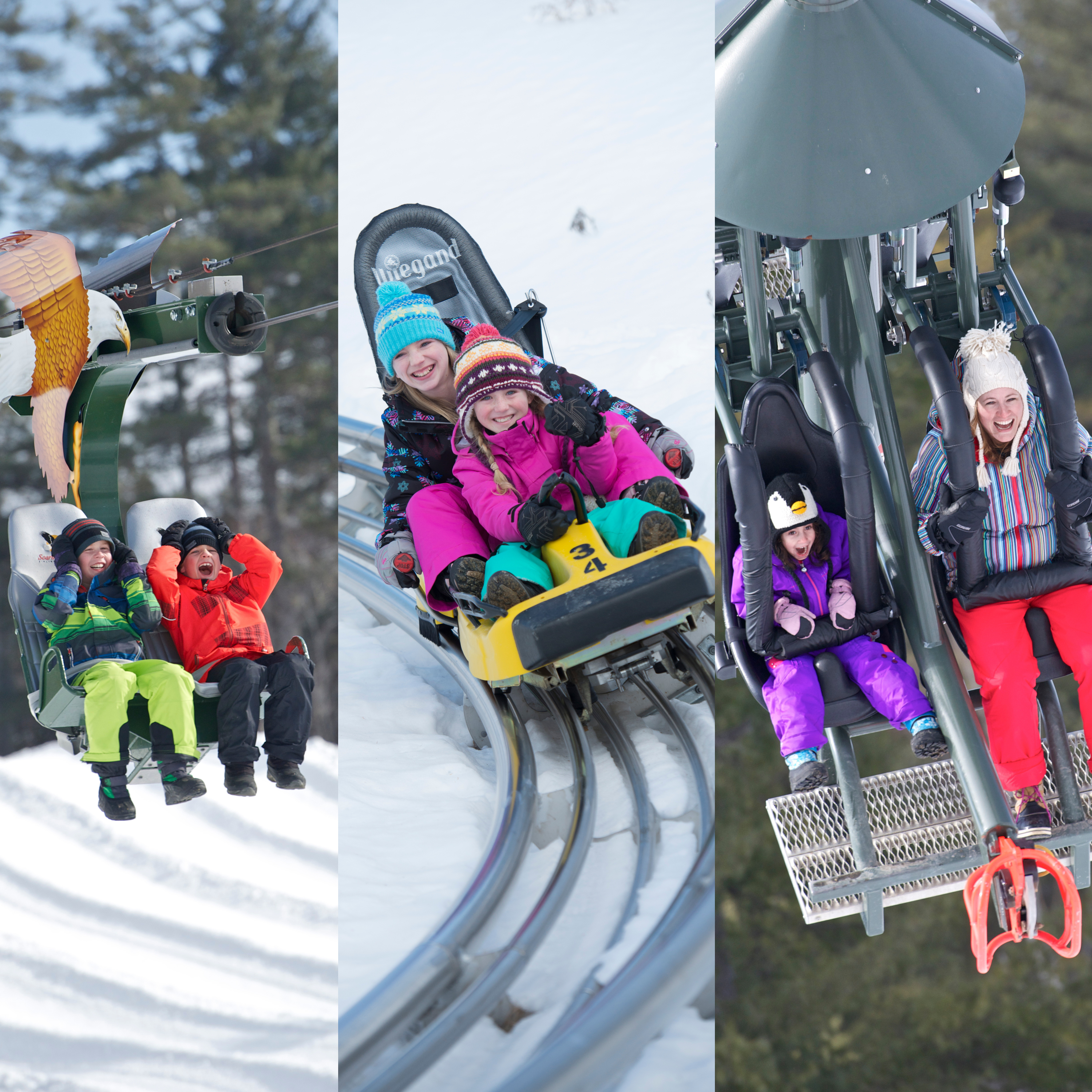 Soaring Eagle, Mountain Coaster, Giant Swing